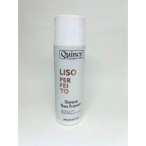 Shampoo Liso Perfeito Nano Premium Quincy 250ml